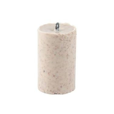 CJ Wildlife - Insect Peanut Cake, 500ml Tub